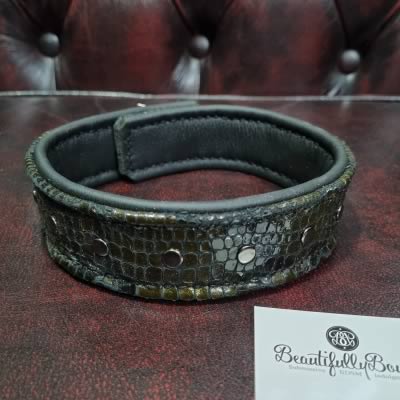 Primitive Dragon Submissive Collar