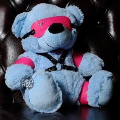 Bondage Bear - Blue Pink