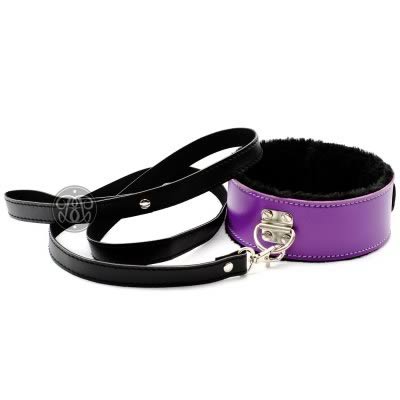 BB Official Beginner Collar